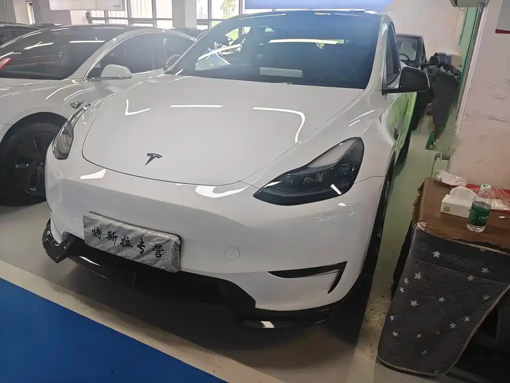 Tesla Model Y — фото 1