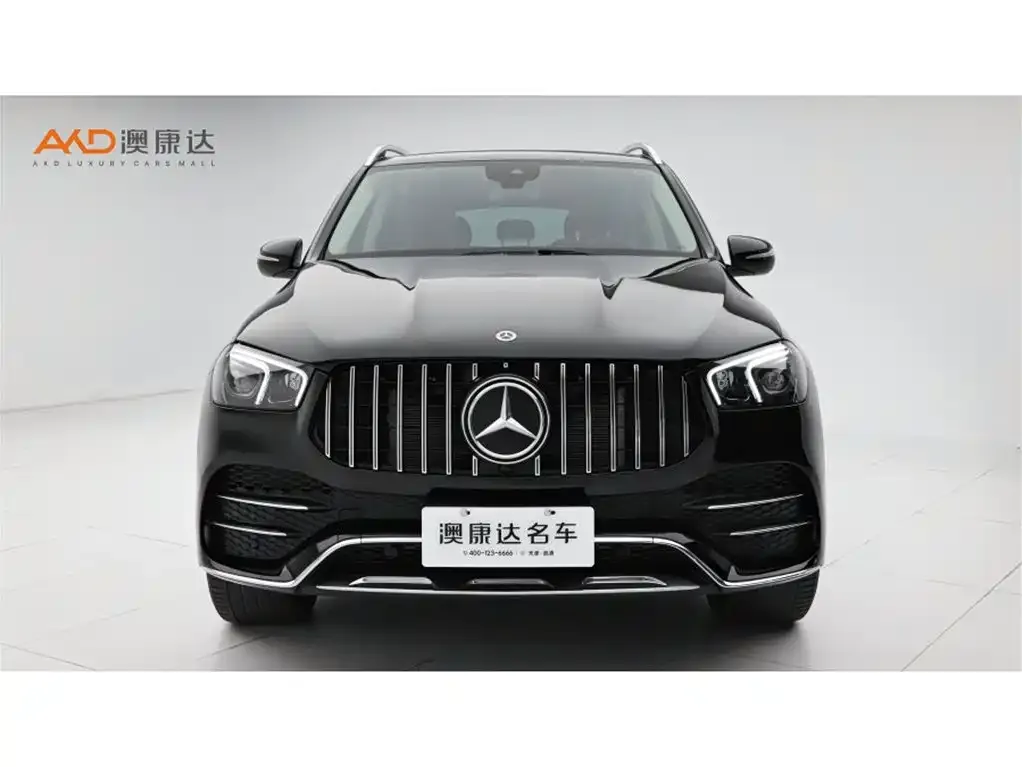 Mercedes-Benz 奔驰GLE(进口) — фото 6
