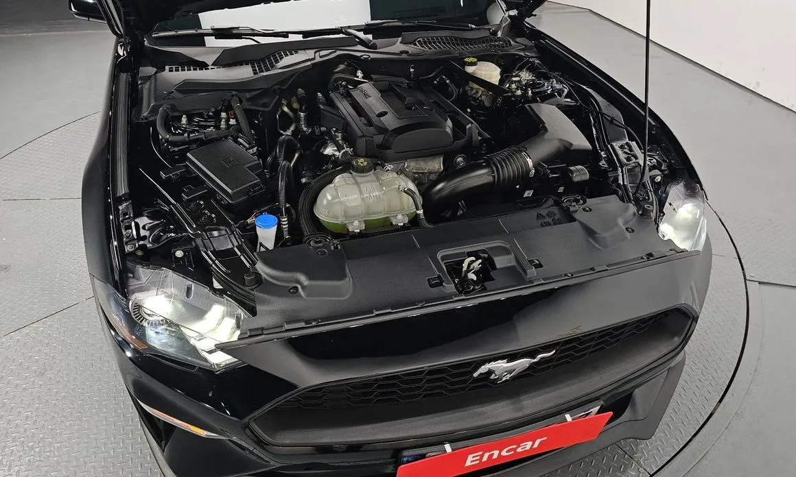 Ford Mustang 2023 из KR, фото 6