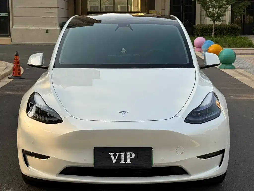 Tesla Model Y — фото 4