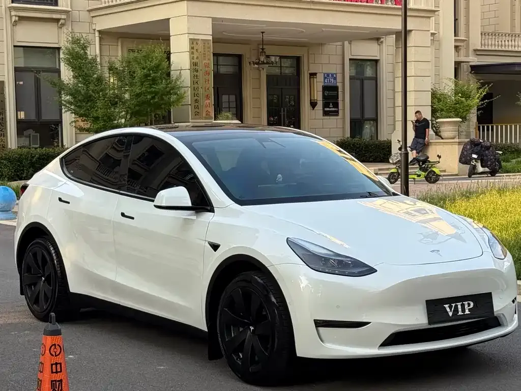 Tesla Model Y — фото 6