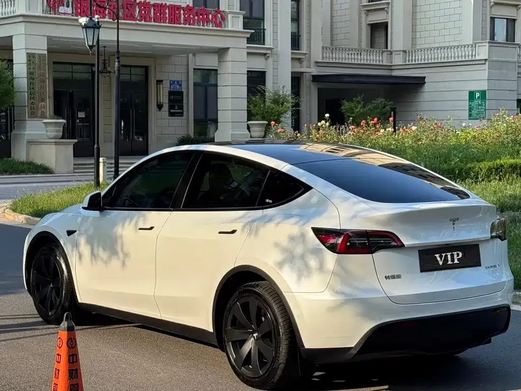 Tesla Model Y — фото 8
