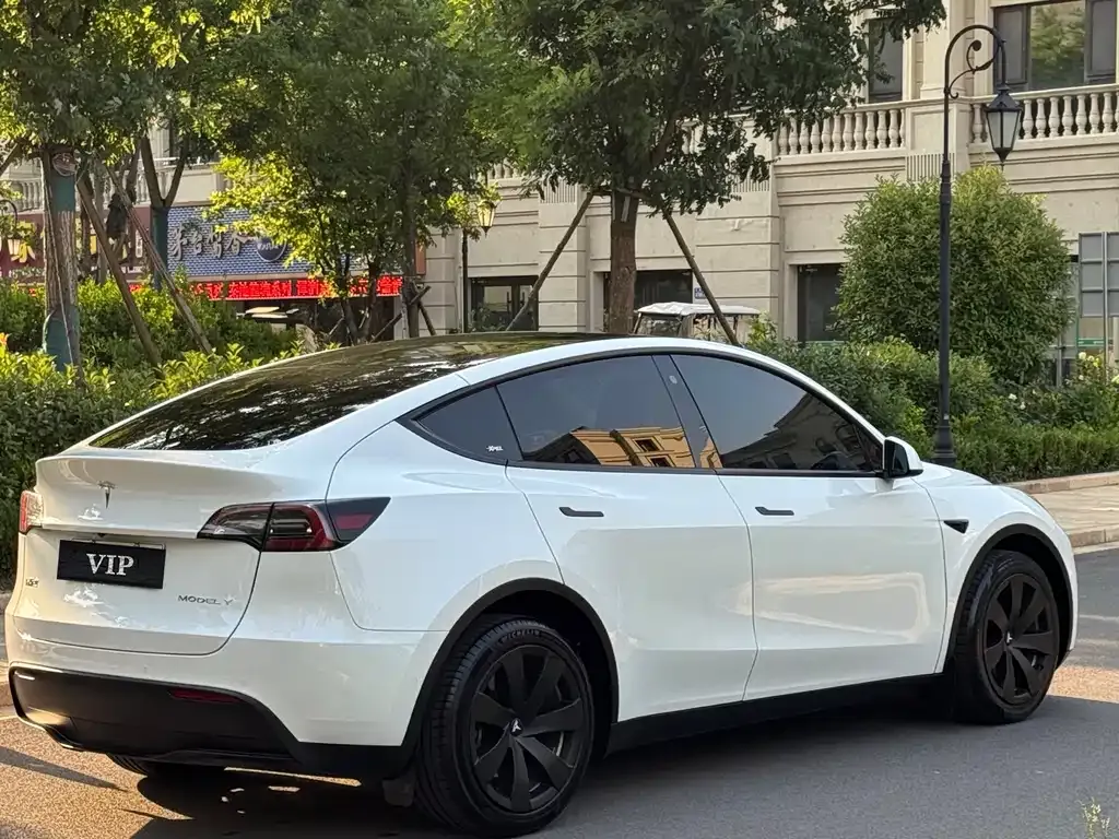 Tesla Model Y — фото 9