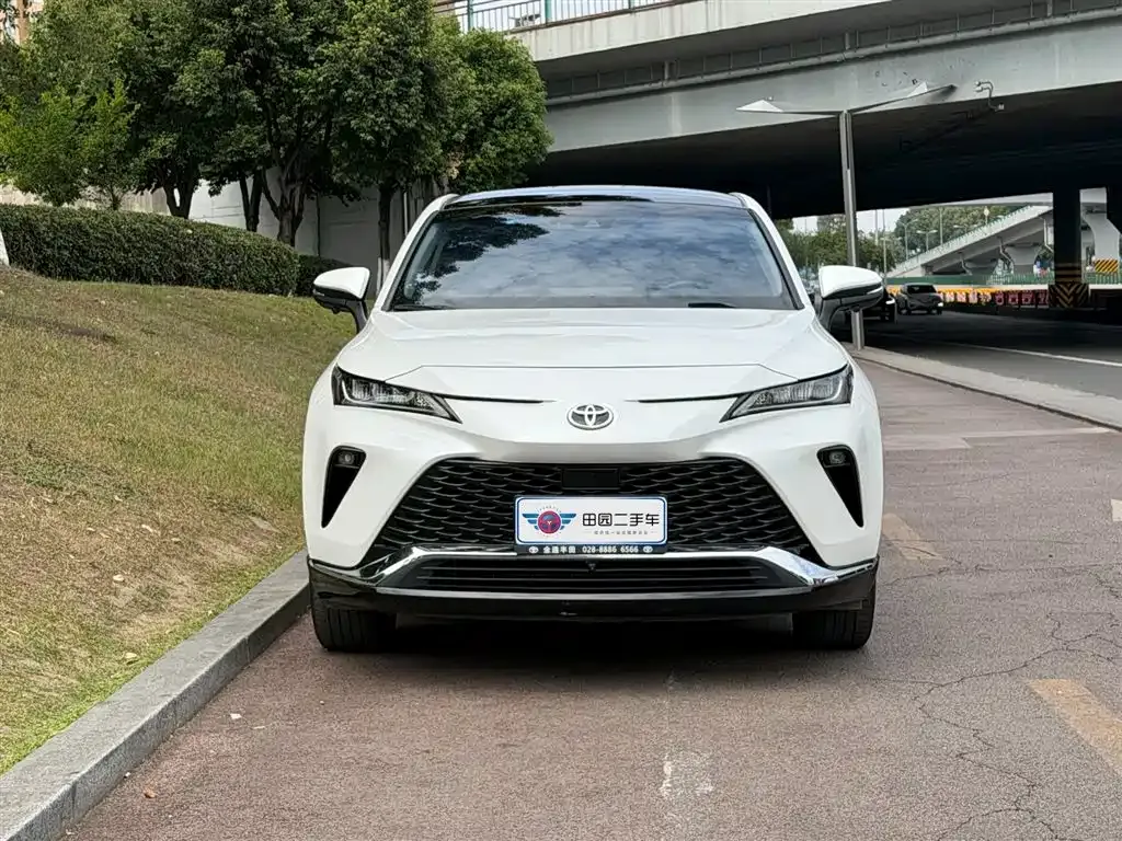 Toyota Venza 2024 из CN, фото 10