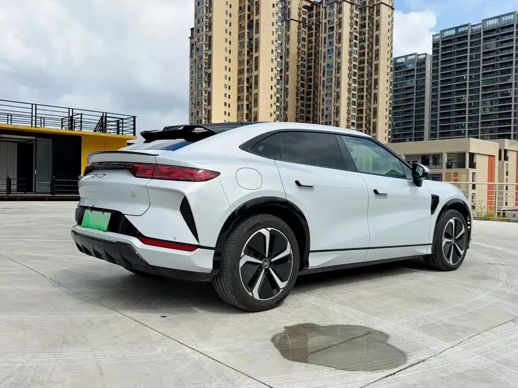 BYD L EV — фото 4
