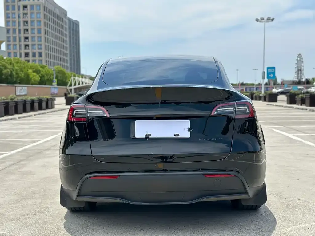 Tesla Model Y — фото 5