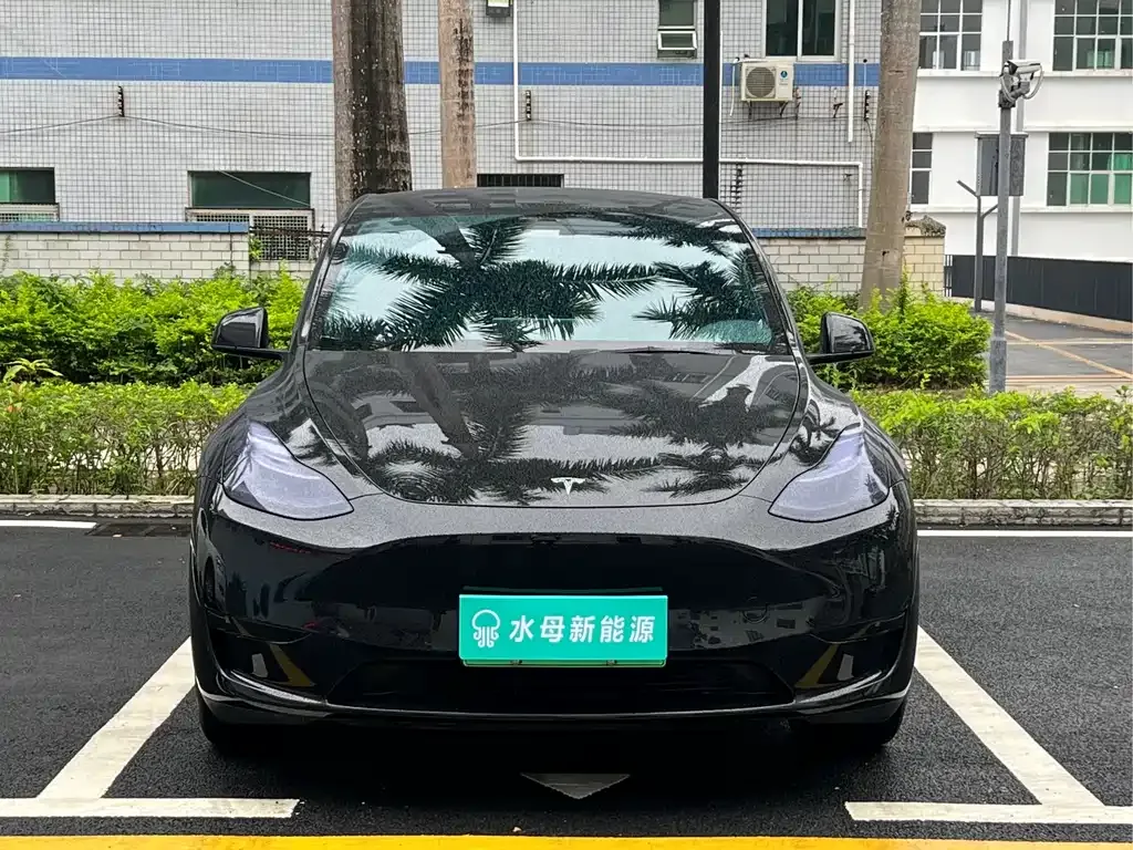 Tesla Model Y — фото 5