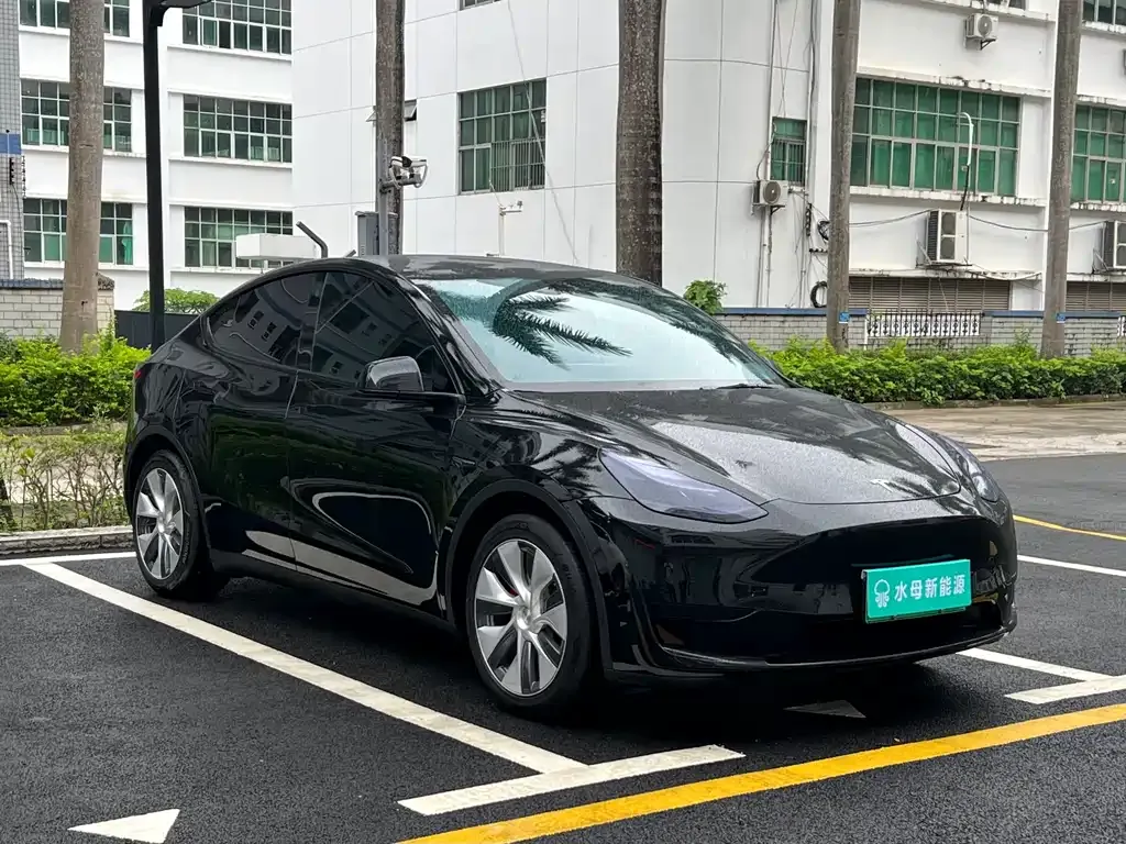 Tesla Model Y — фото 9