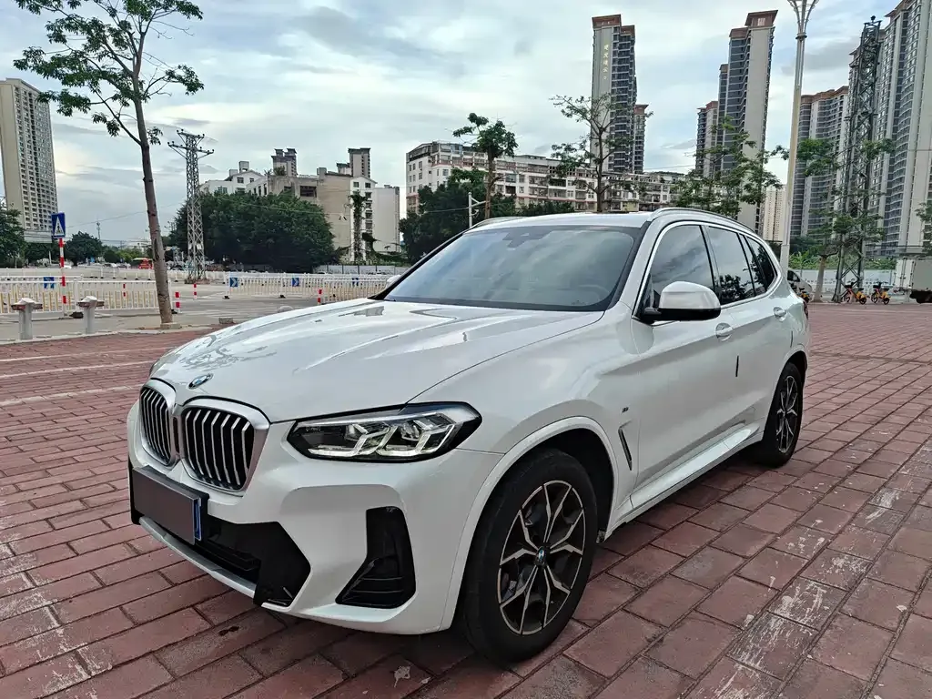 BMW X3 — фото 1
