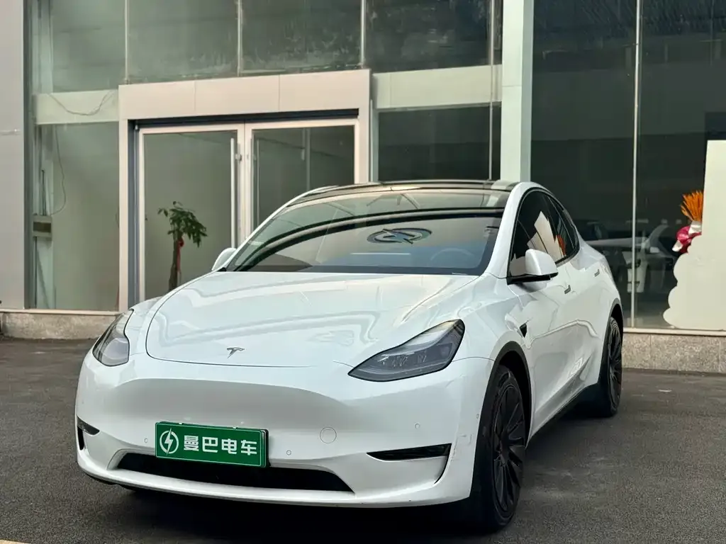 Tesla Model Y — фото 1