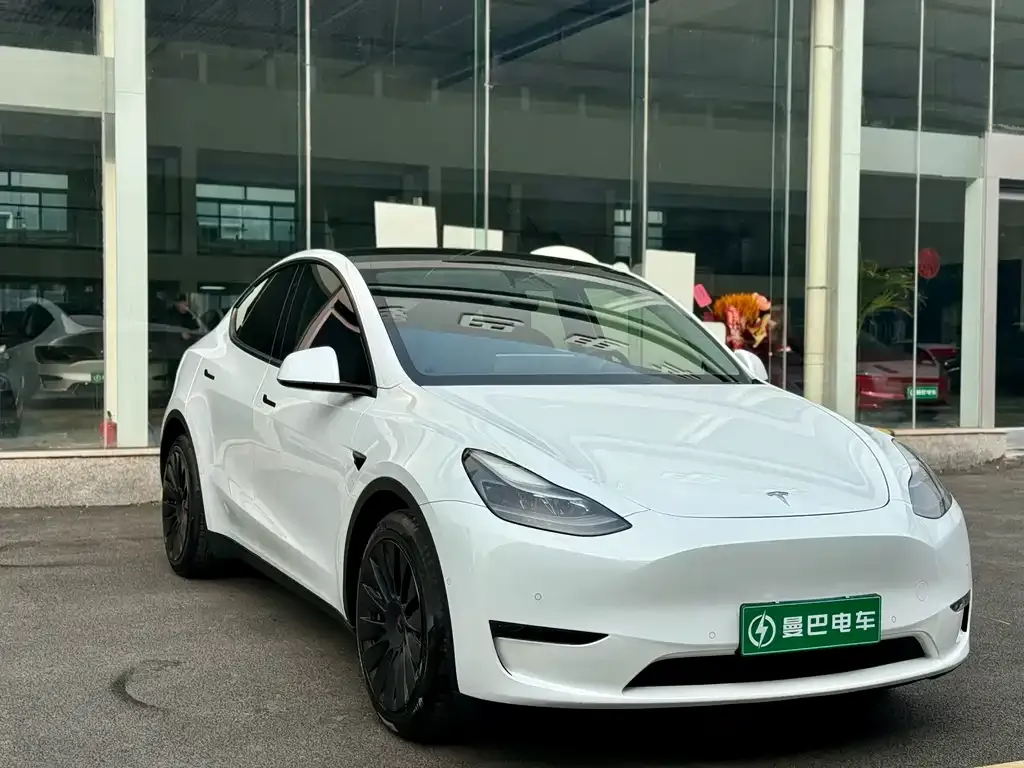 Tesla Model Y — фото 9