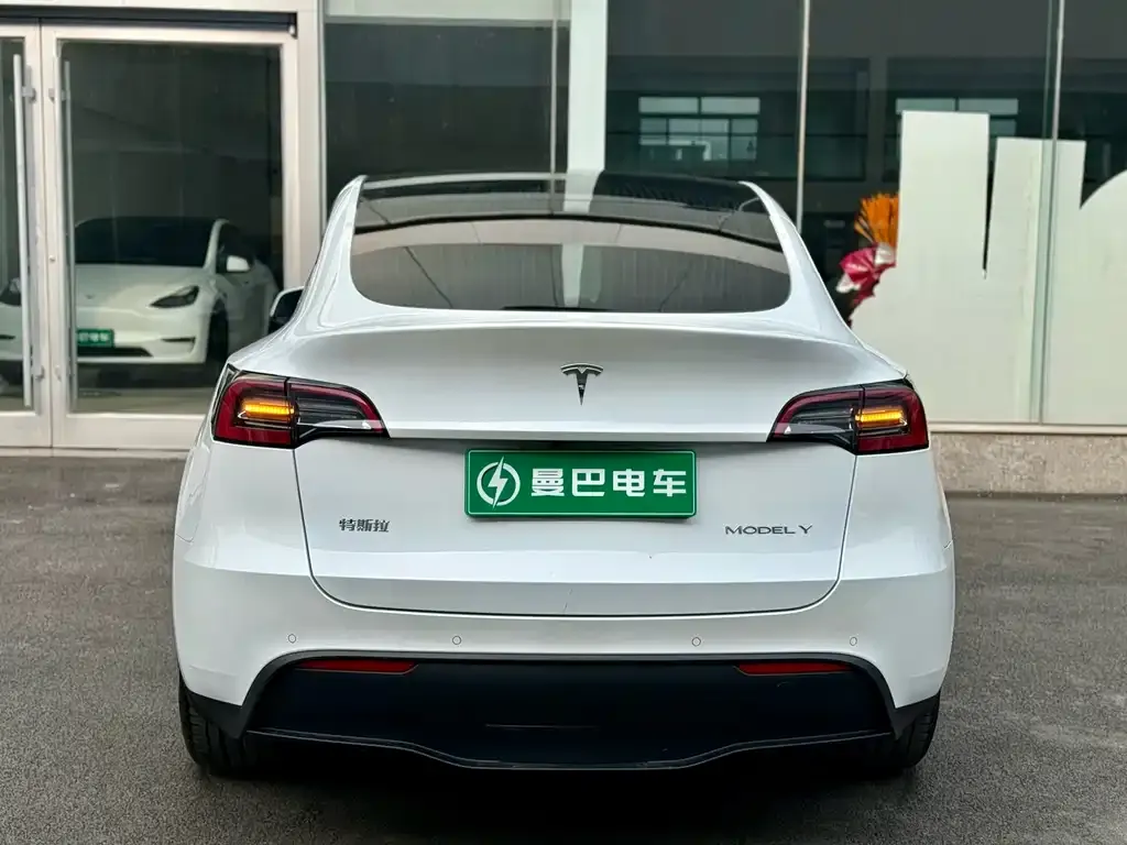 Tesla Model Y — фото 3