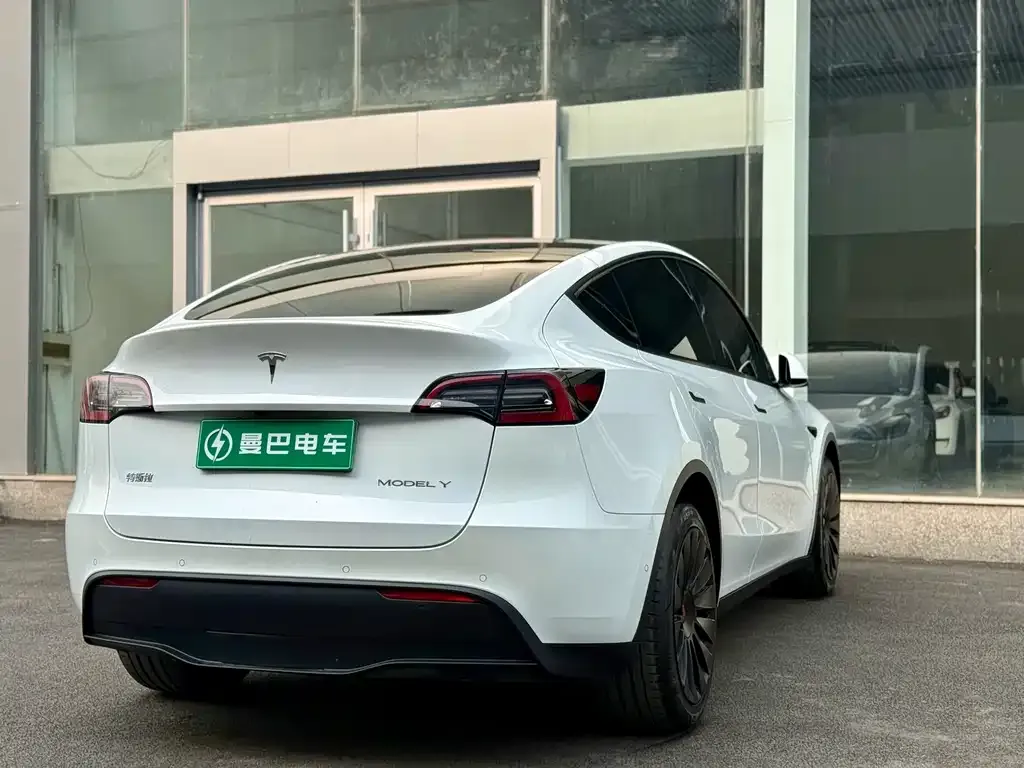 Tesla Model Y — фото 2
