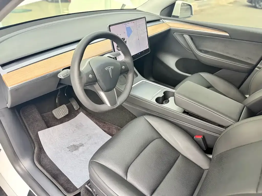 Tesla Model Y — фото 10