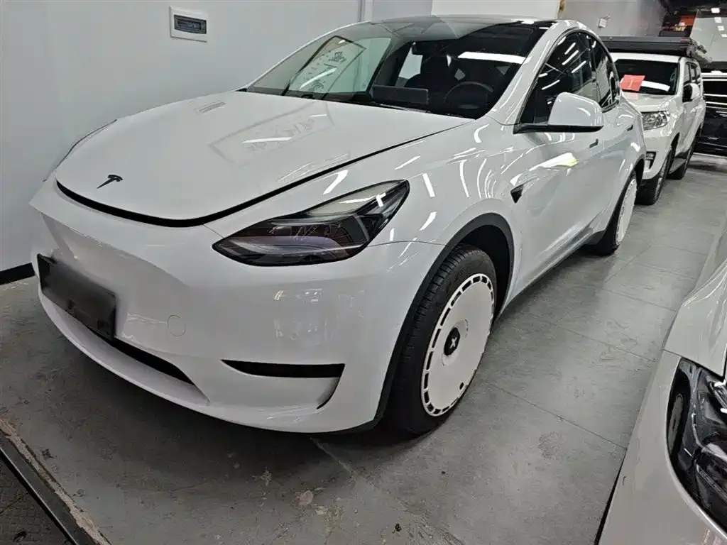 Tesla Model Y — фото 10