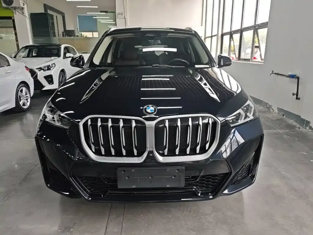 BMW X1 — фото 10
