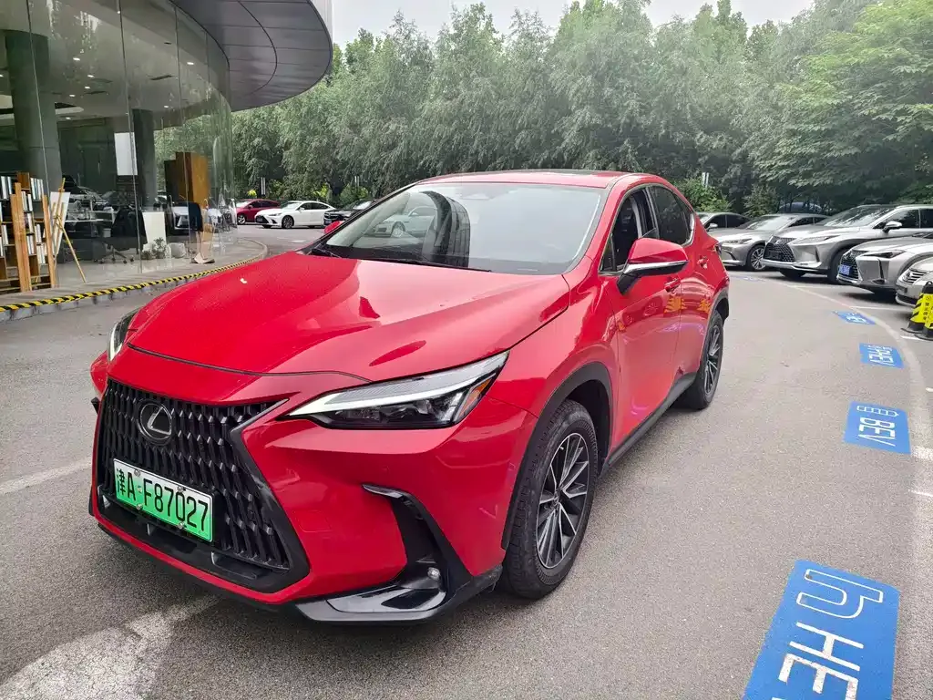 Lexus NX New Energy