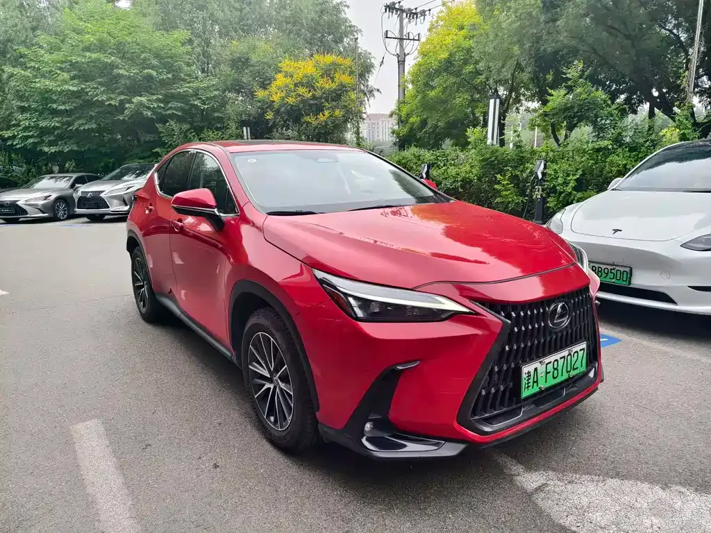 Lexus NX New Energy 2022 из CN, фото 8
