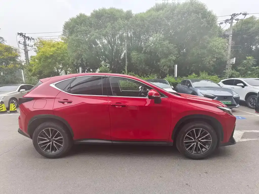 Lexus NX New Energy 2022 из CN, фото 6