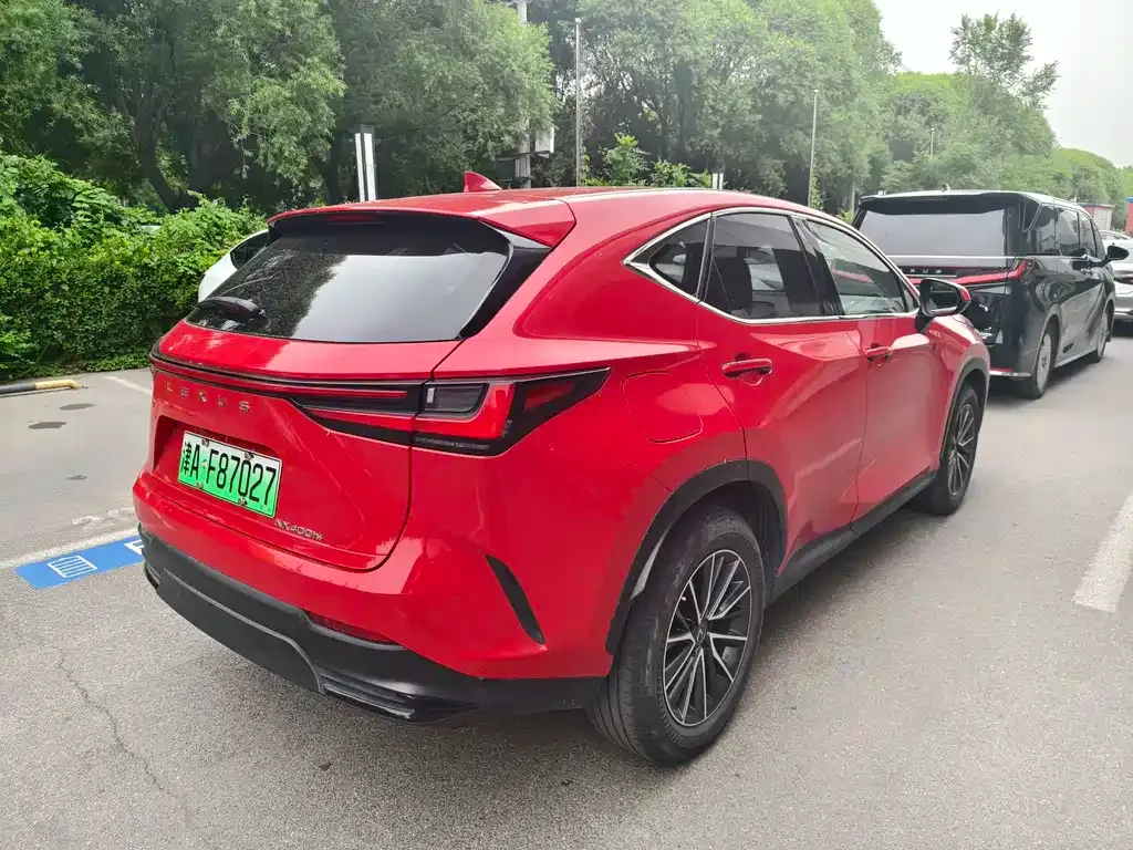Lexus NX New Energy 2022 из CN, фото 4