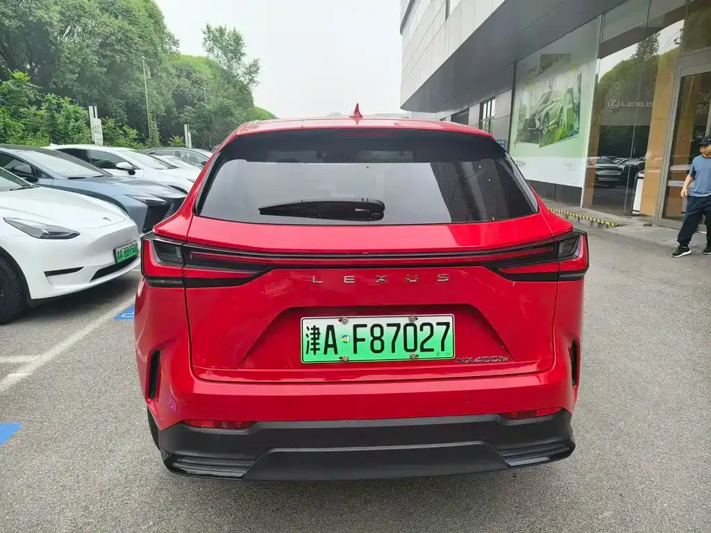 Lexus NX New Energy 2022 из CN, фото 3