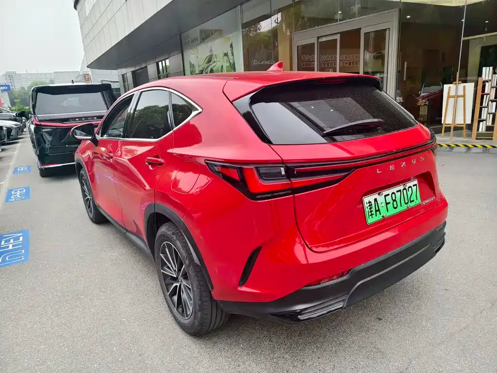 Lexus NX New Energy 2022 из CN, фото 9