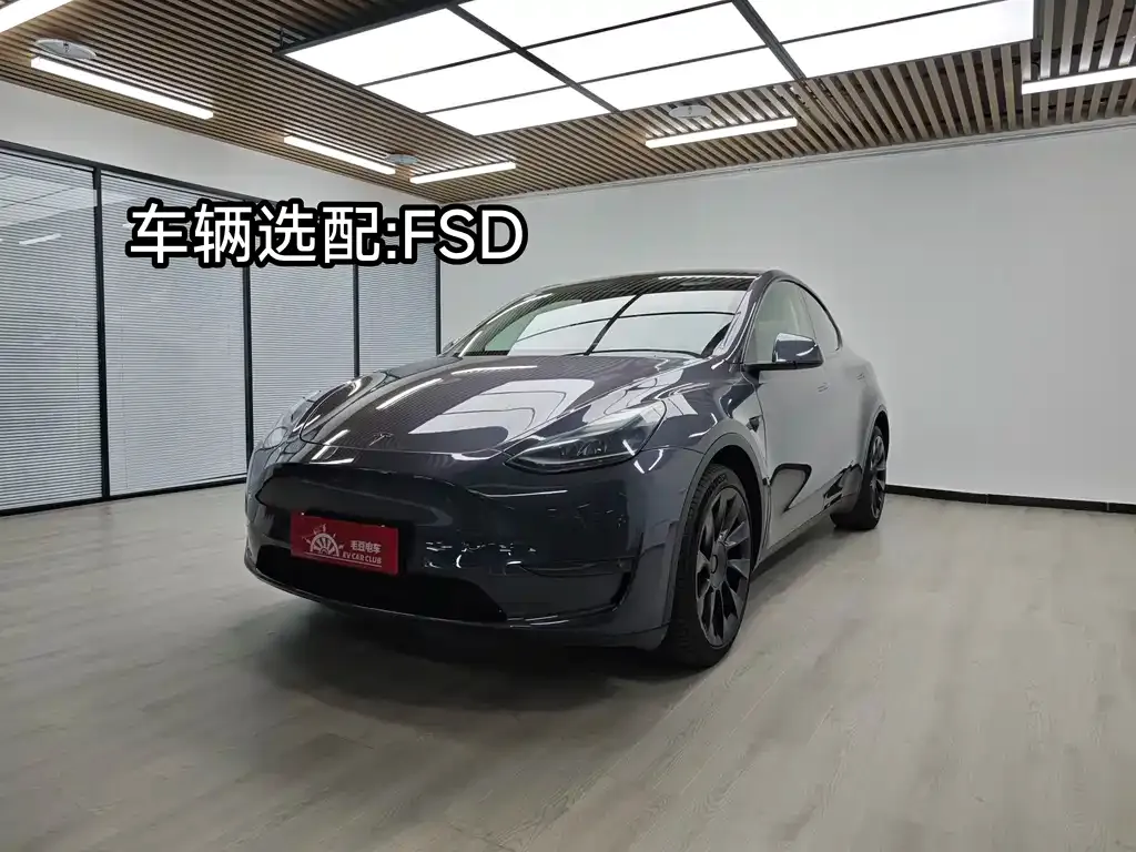 Tesla Model Y — фото 1