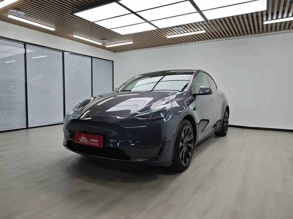 Tesla Model Y — фото 5