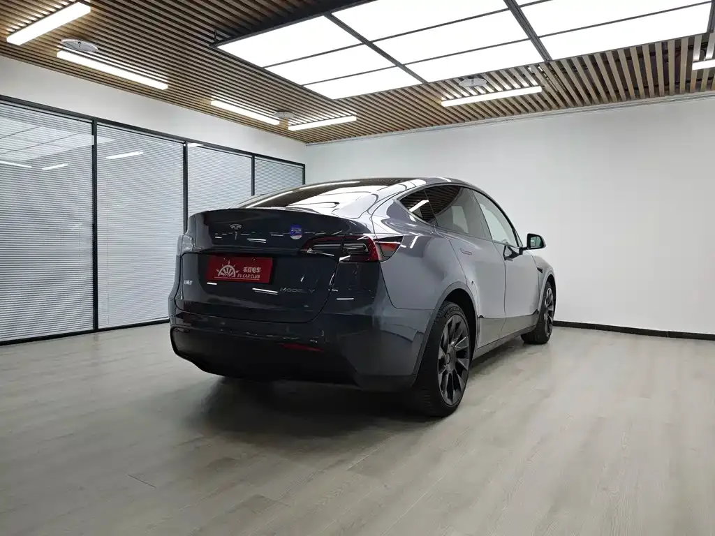 Tesla Model Y — фото 8