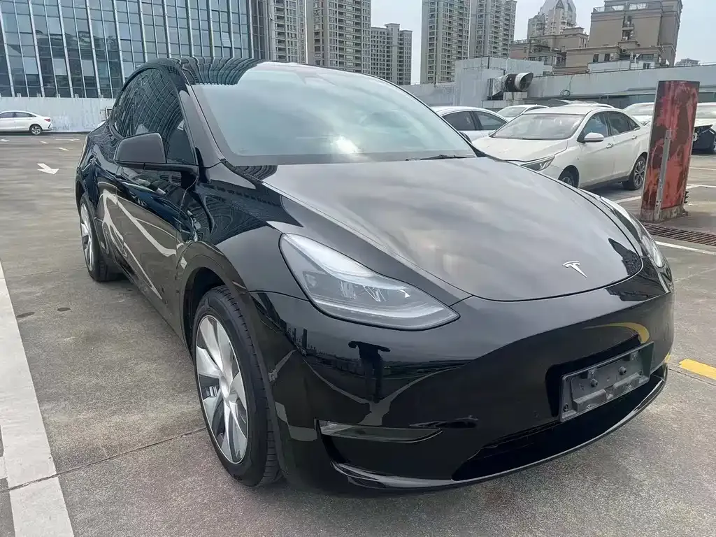 Tesla Model Y — фото 8