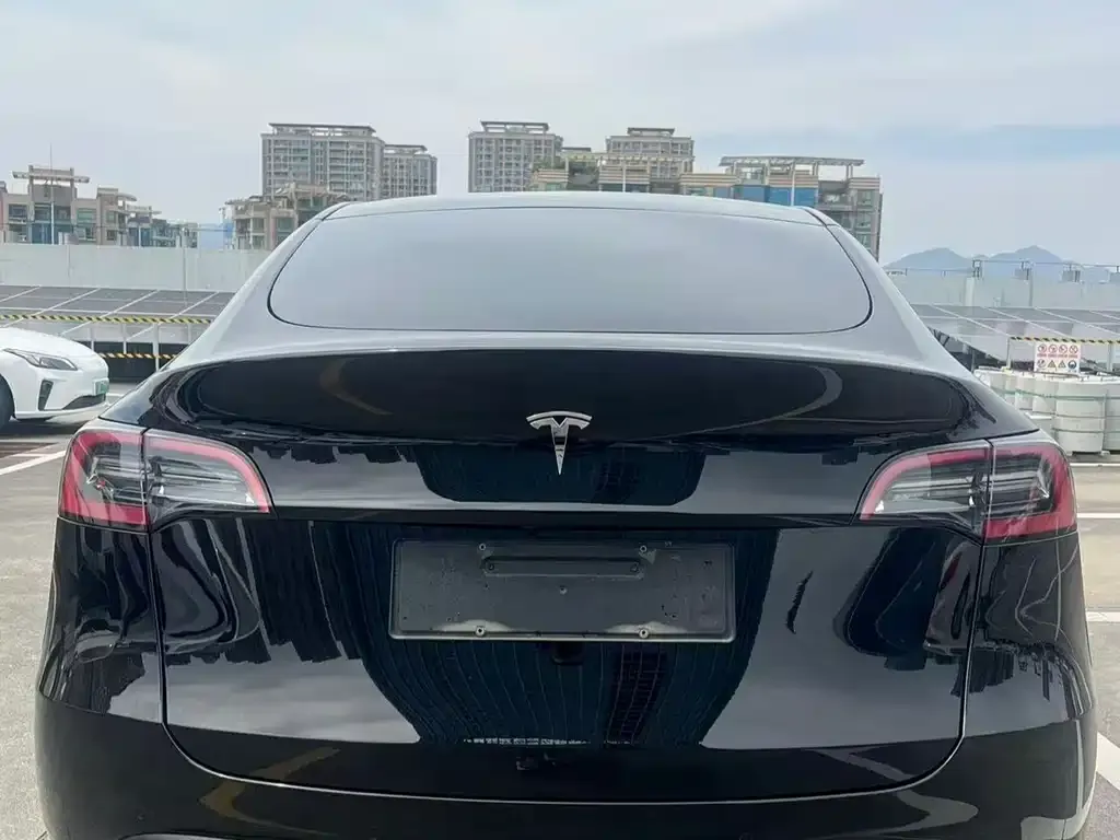 Tesla Model Y — фото 2
