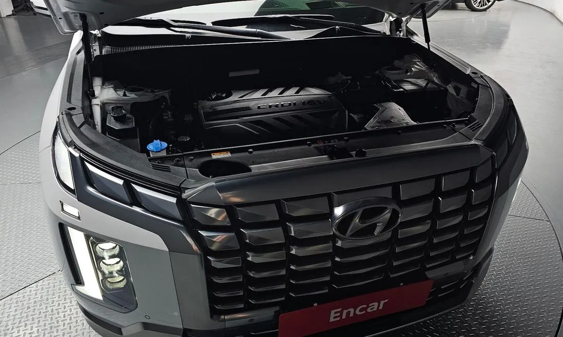 Hyundai Palisade 2024 из KR, фото 6