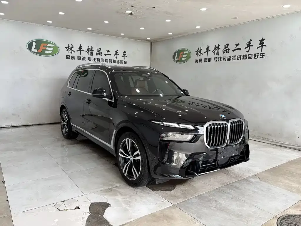 BMW X7 — фото 9