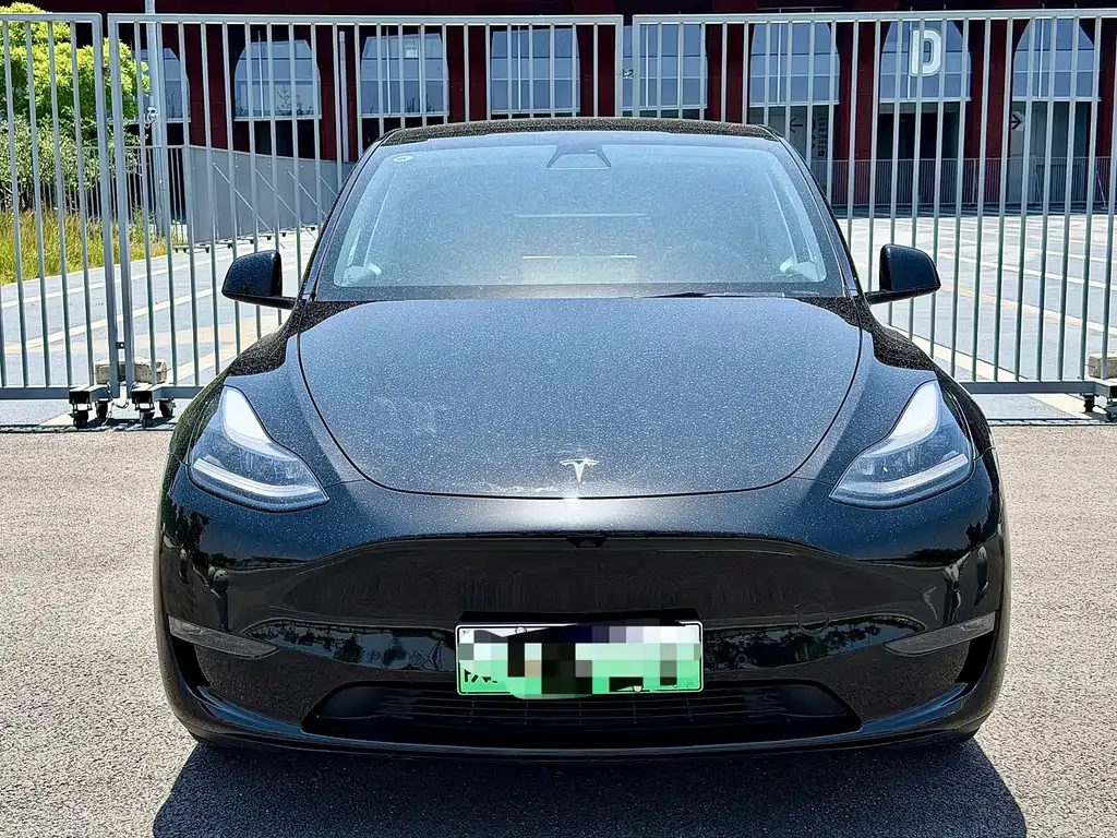 Tesla Model Y — фото 10