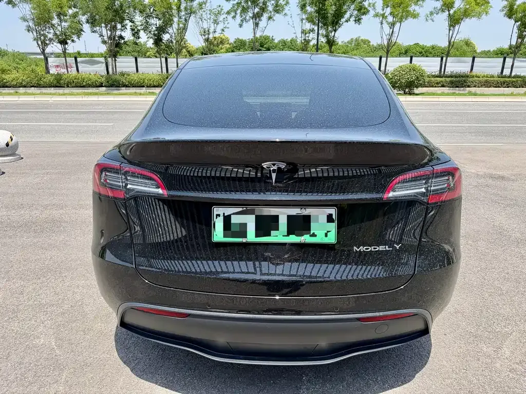 Tesla Model Y — фото 8