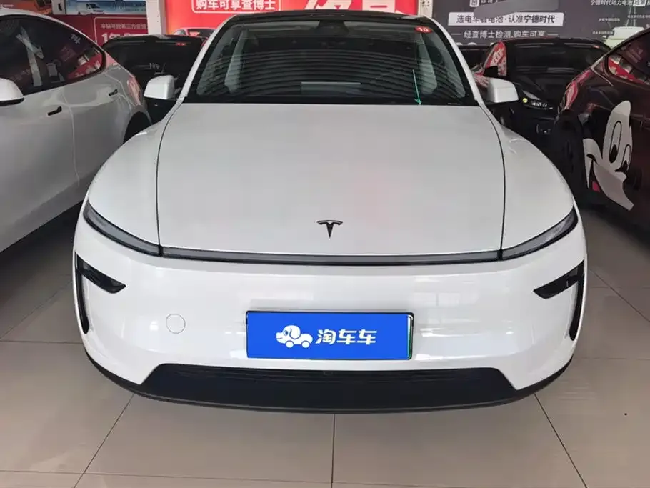 Tesla Model Y — фото 3