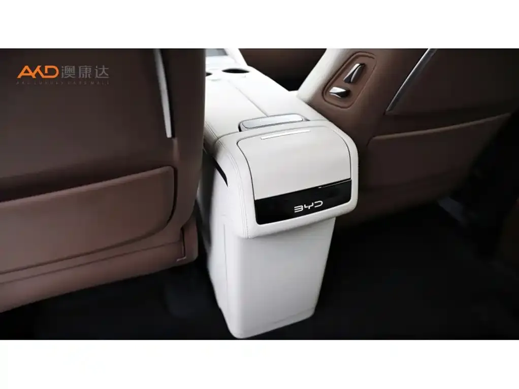 BYD Xia 2025 из CN, фото 2