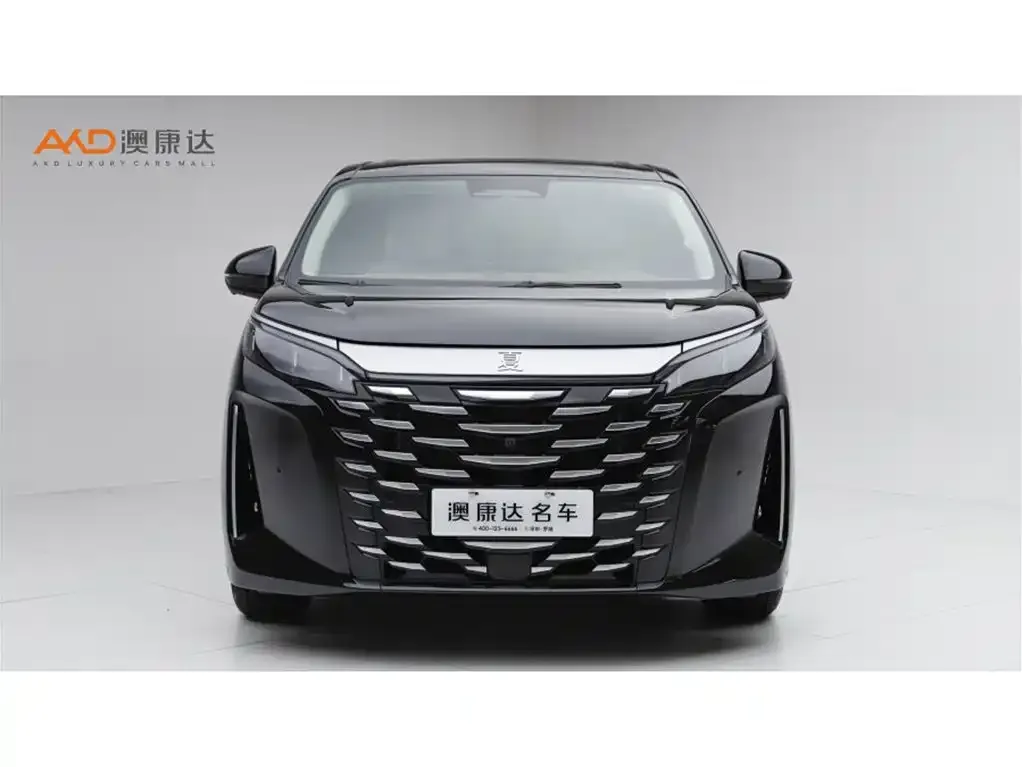 BYD Xia 2025 из CN, фото 9