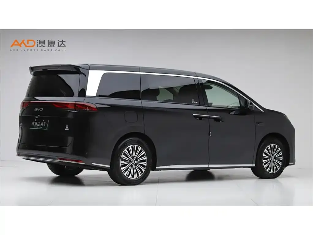 BYD Xia 2025 из CN, фото 8