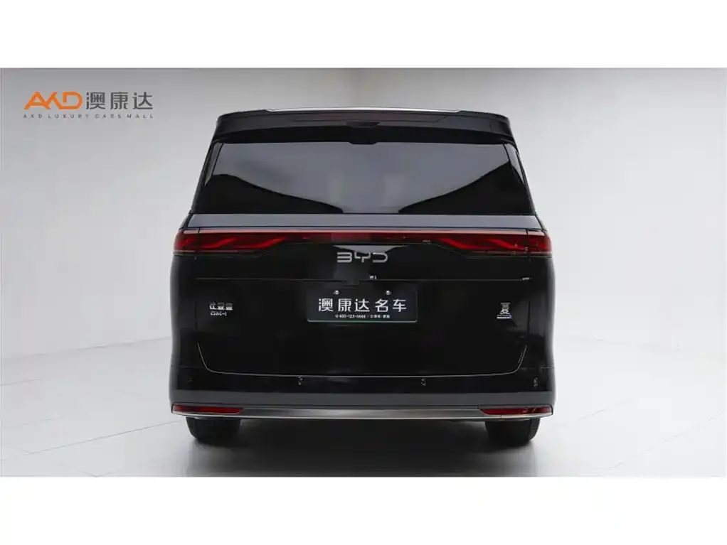 BYD Xia 2025 из CN, фото 5