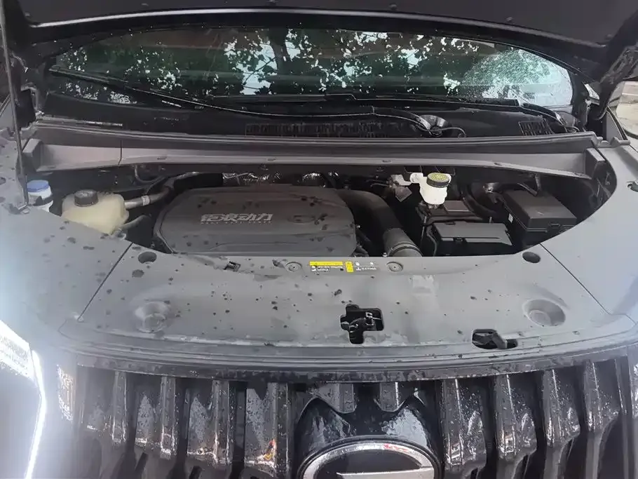 GAC Motor Trumpchi M8 — фото 2