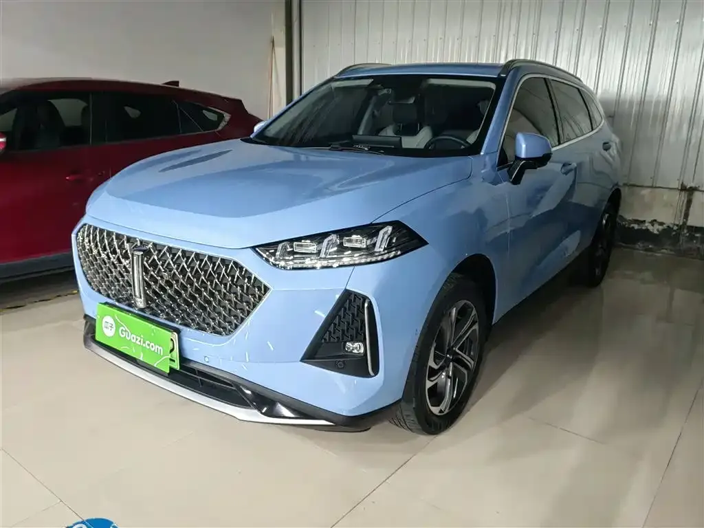 Wey Macchiato DHT-PHEV 2022 из CN, фото 8