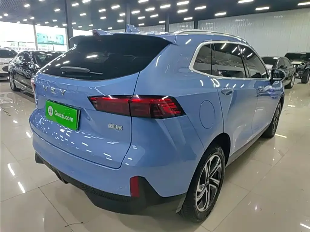 Wey Macchiato DHT-PHEV 2022 из CN, фото 10