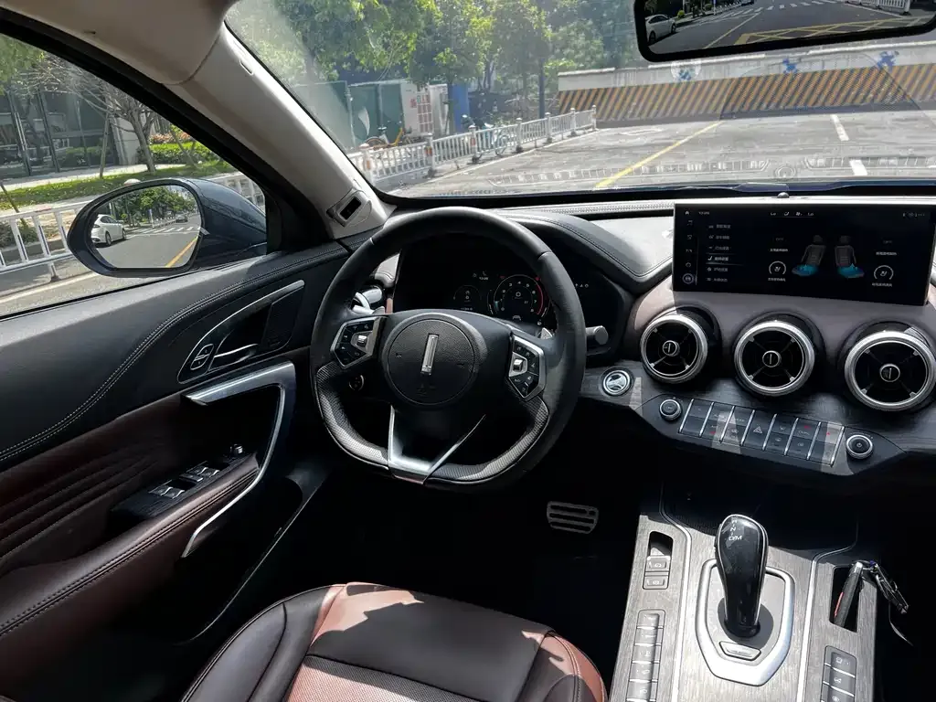 Wey VV7 GT 2021 из CN, фото 4