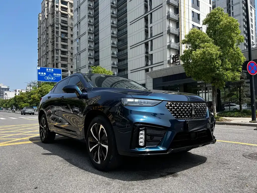 Wey VV7 GT 2021 из CN, фото 6