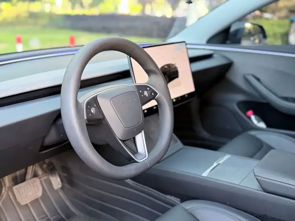 Tesla Model 3 2025 из CN, фото 3