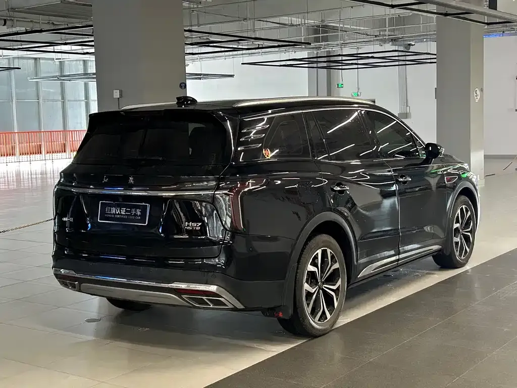 Hongqi HS7 2024 из CN, фото 8