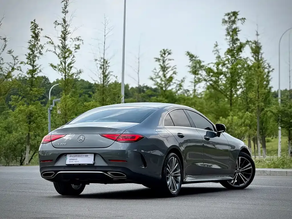 Mercedes-Benz CLS 2021 из CN, фото 6