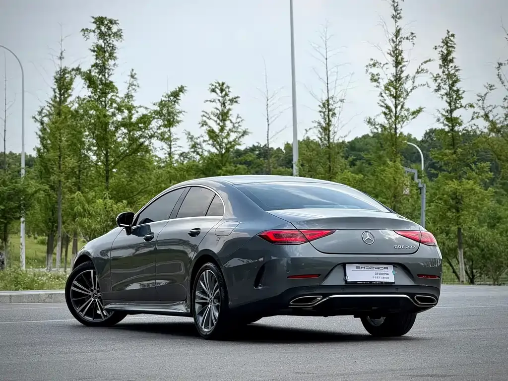 Mercedes-Benz CLS 2021 из CN, фото 9