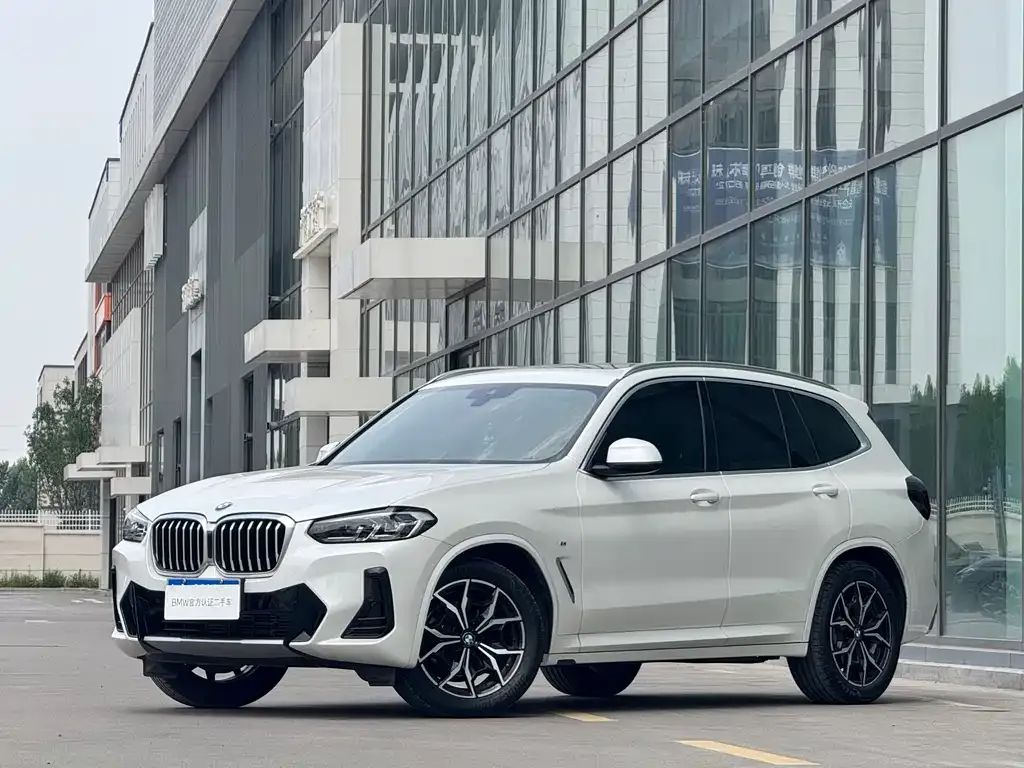 BMW X3 — фото 1